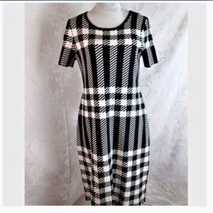 Ann Taylor Sweater Dress Size Medium Tall